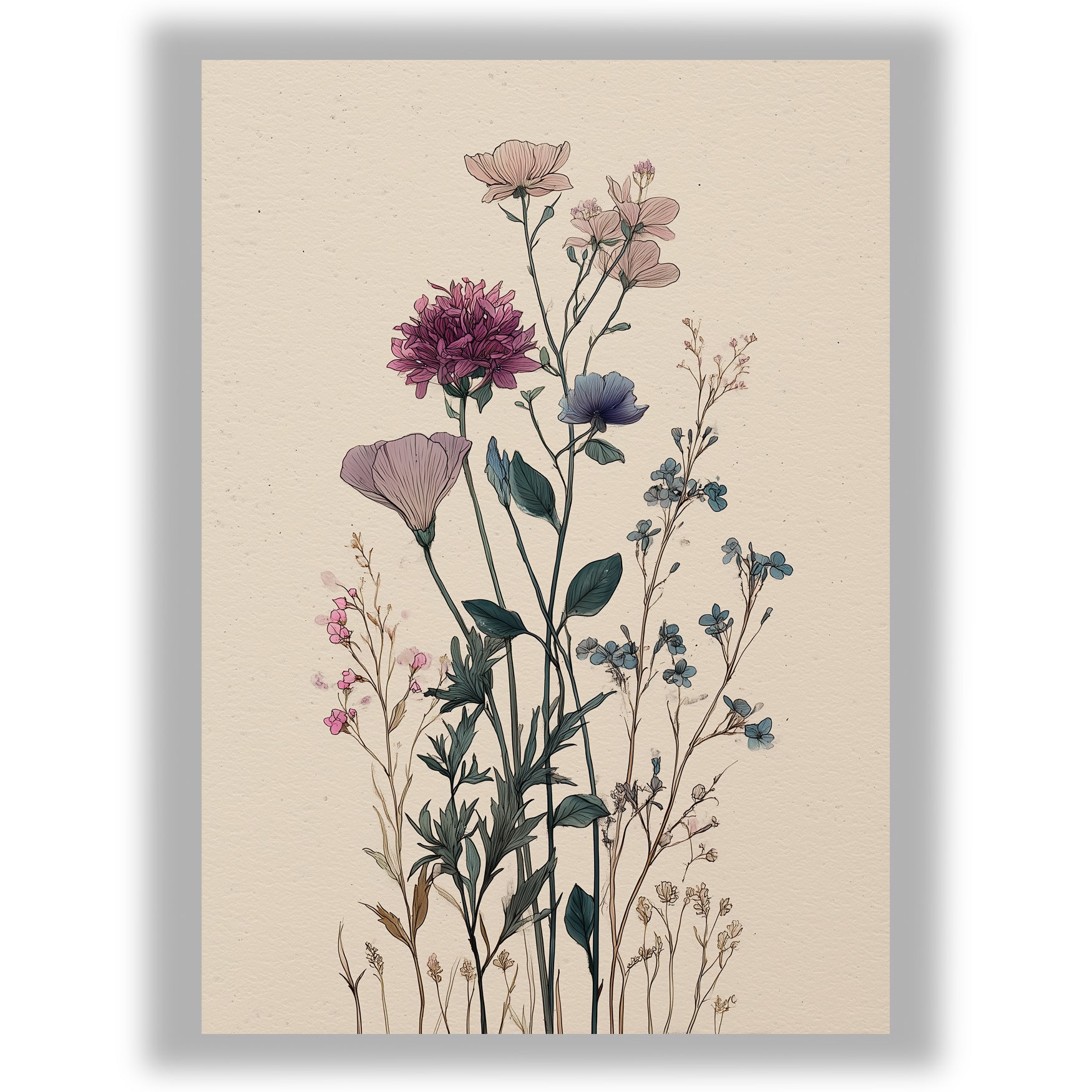 Wildflower Study – Quiet Cosmos