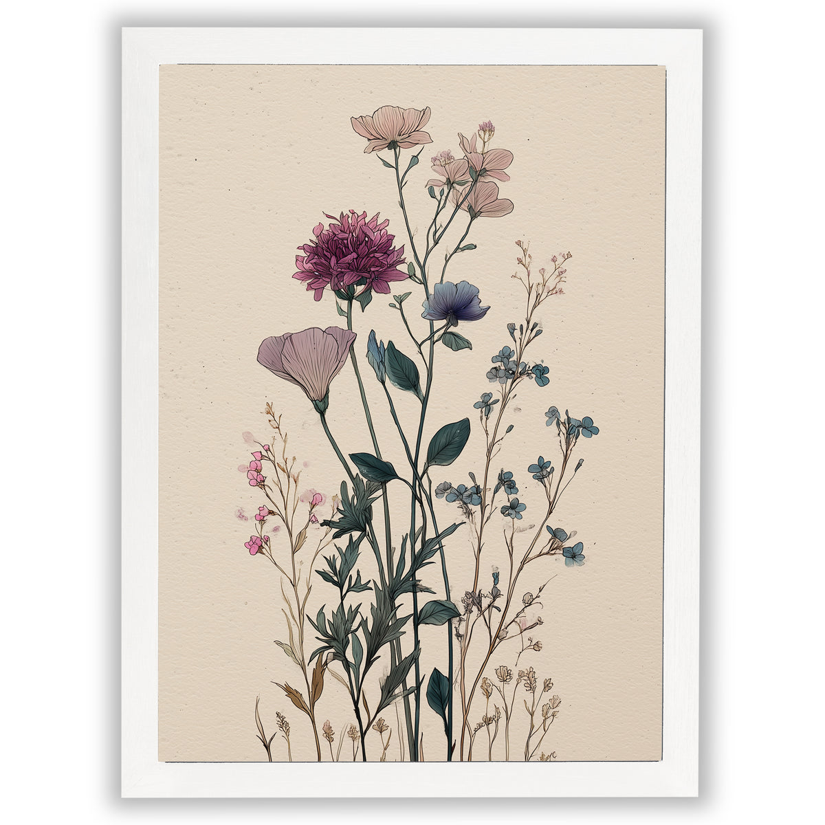 Wildflower Study – Quiet Cosmos