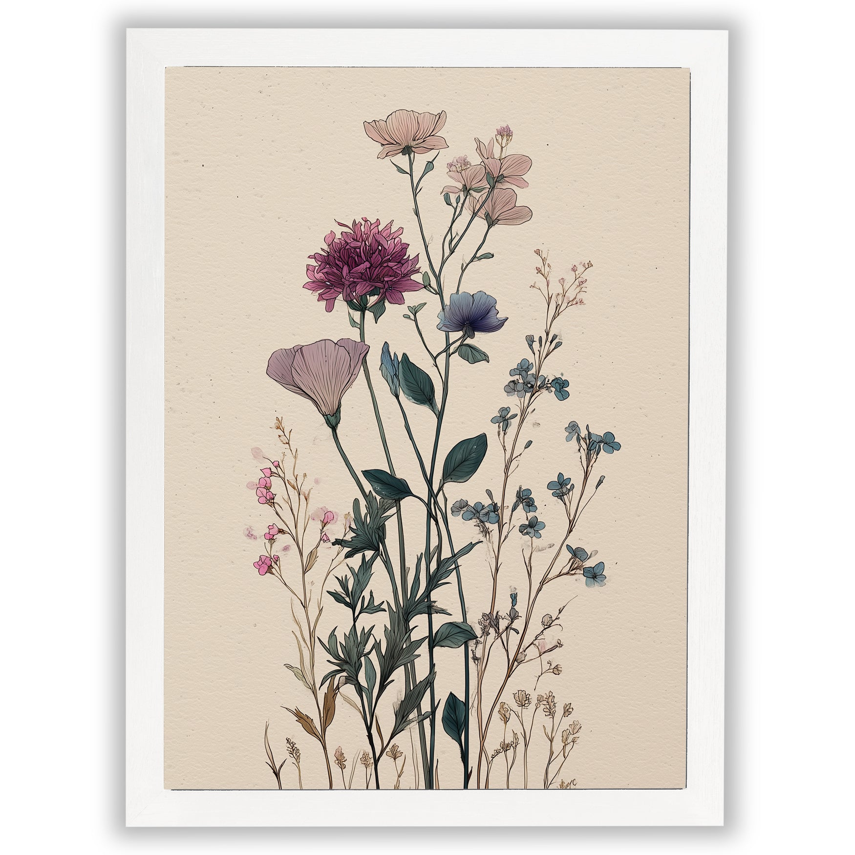 Wildflower Study – Quiet Cosmos
