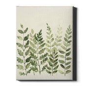 Soft Botanicals – Meadow Greens