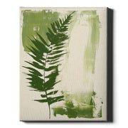 Fern Impressions - Forest Study