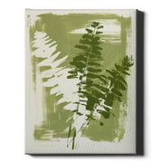 Fern Impressions - Verdant Layers