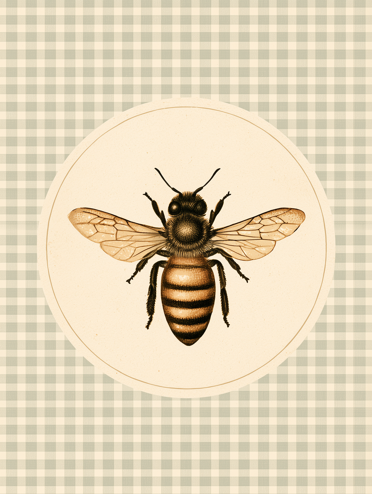 Meadow & Honey - The Honeybee