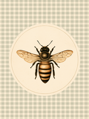 Meadow & Honey - The Honeybee