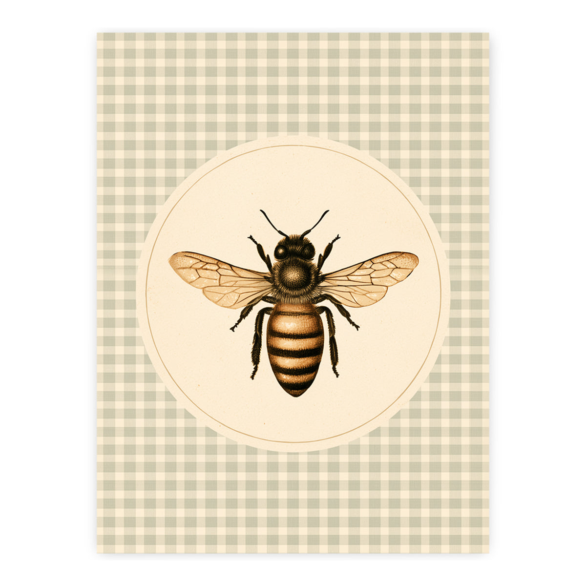 Meadow & Honey - The Honeybee
