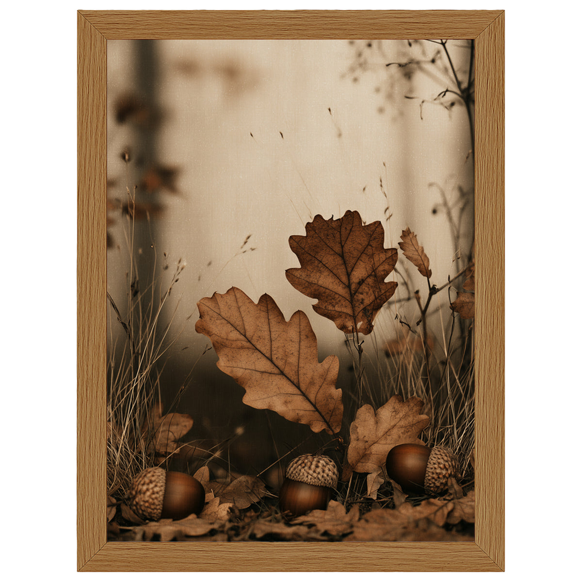 Autumn Whispers - Fallen Acorns