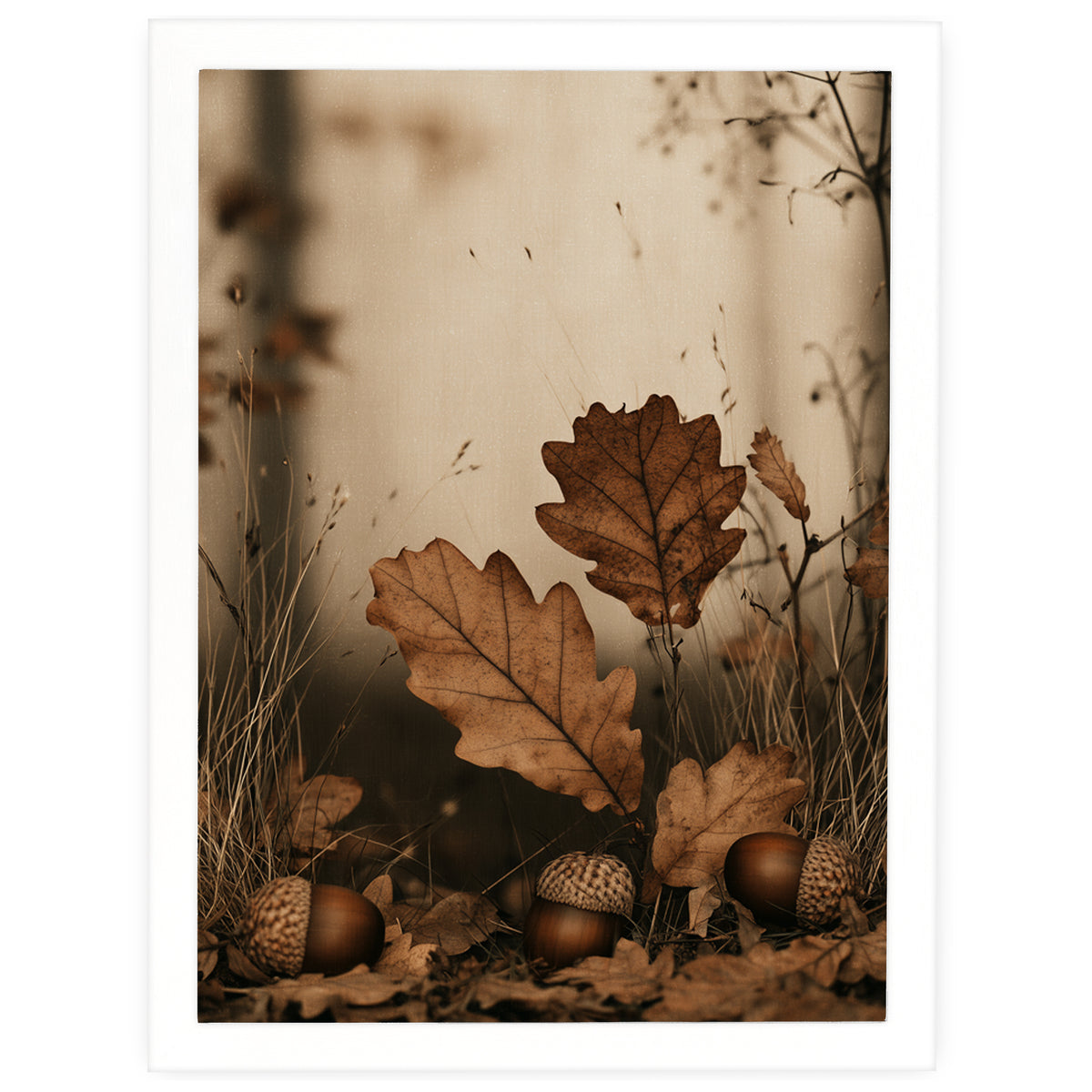 Autumn Whispers - Fallen Acorns