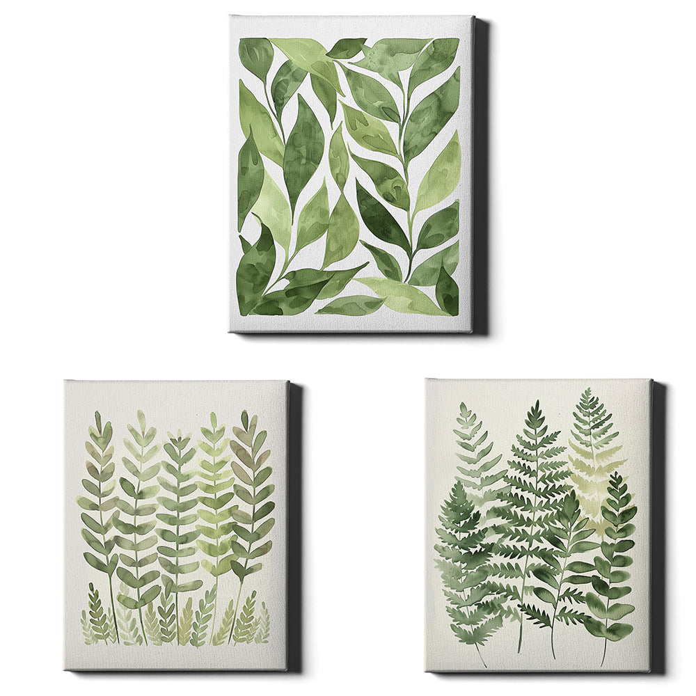 Botanical Ferns | Set of 3 Botanical Wall Art Prints