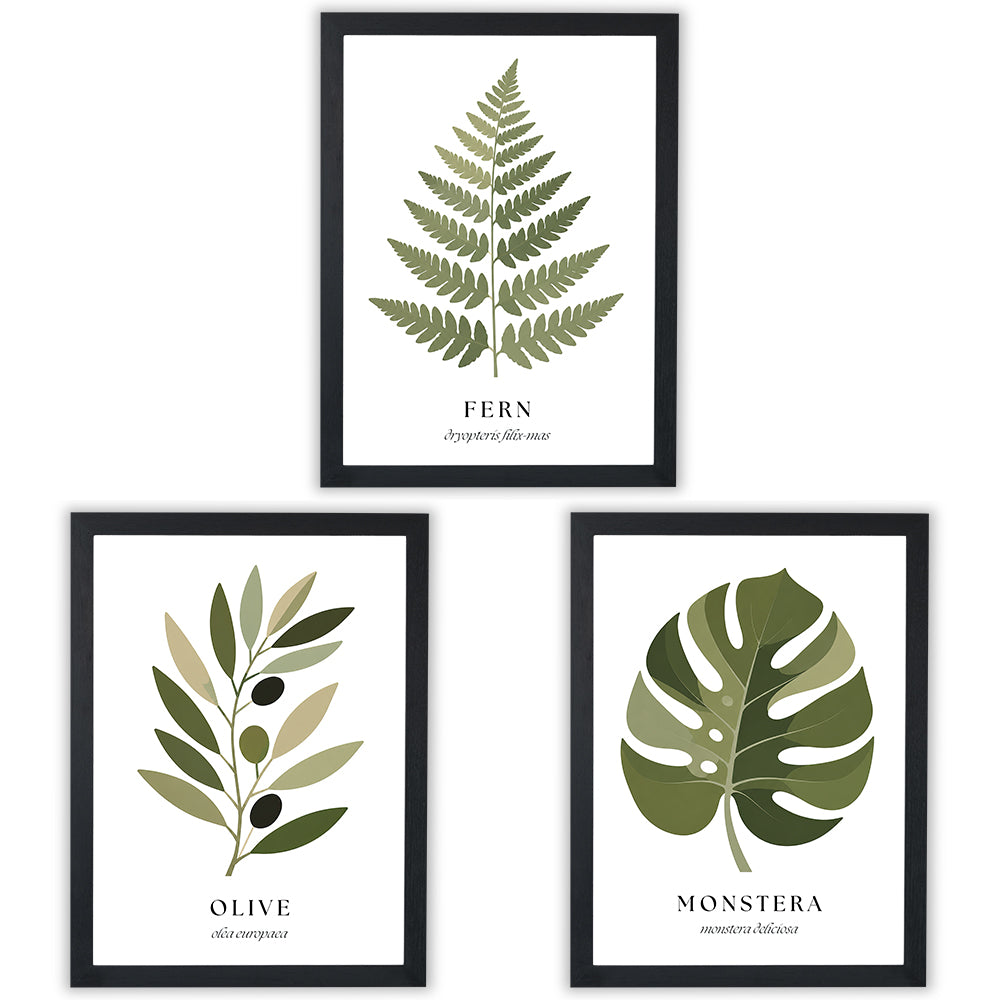 Botanical Studies | Set of 3 Botanical Leaf Prints