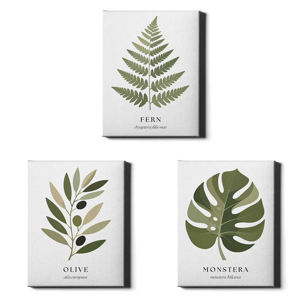 Botanical Studies | Set of 3 Botanical Leaf Prints