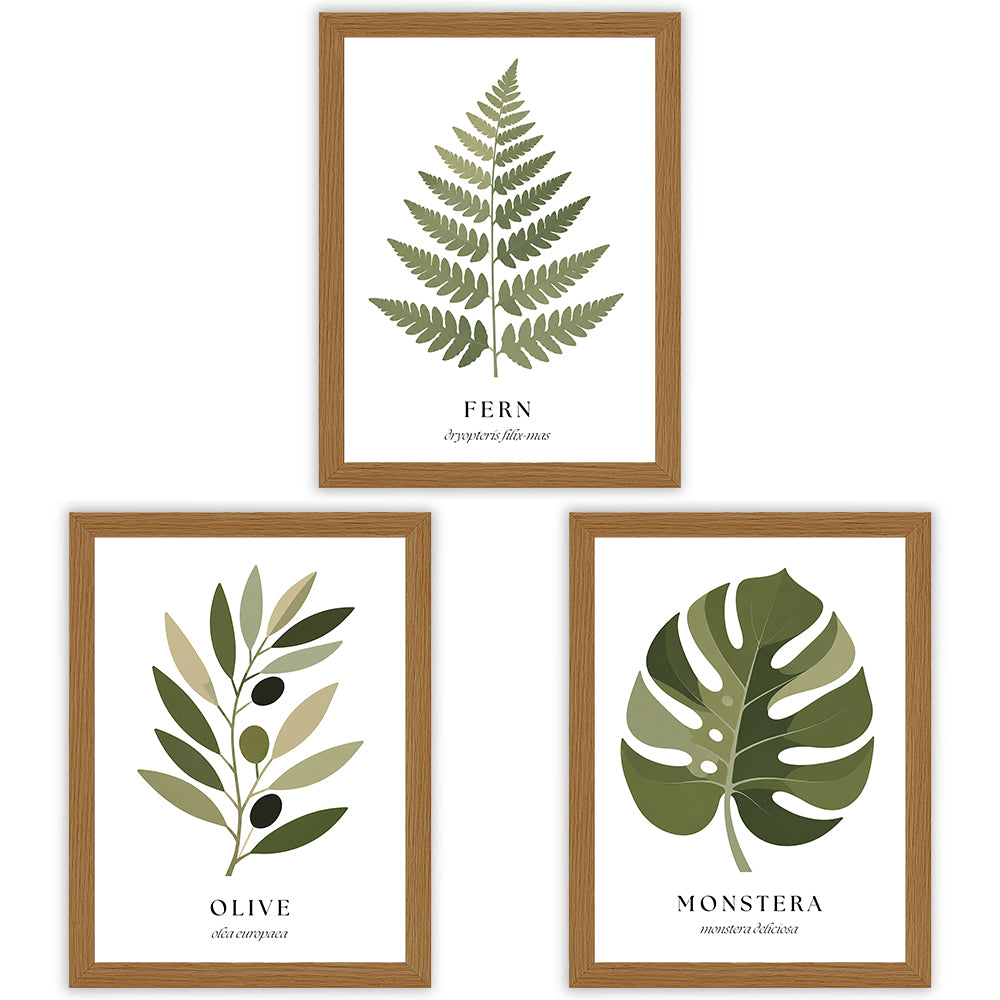 Botanical Studies | Set of 3 Botanical Leaf Prints