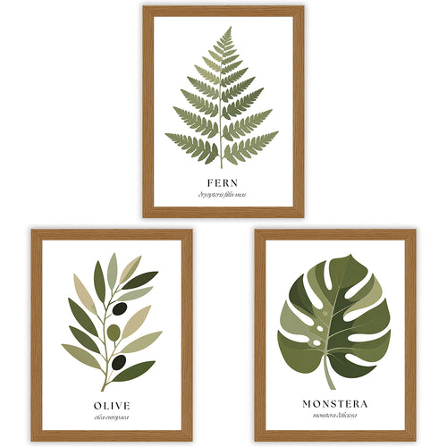 Botanical Studies | Set of 3 Botanical Leaf Prints