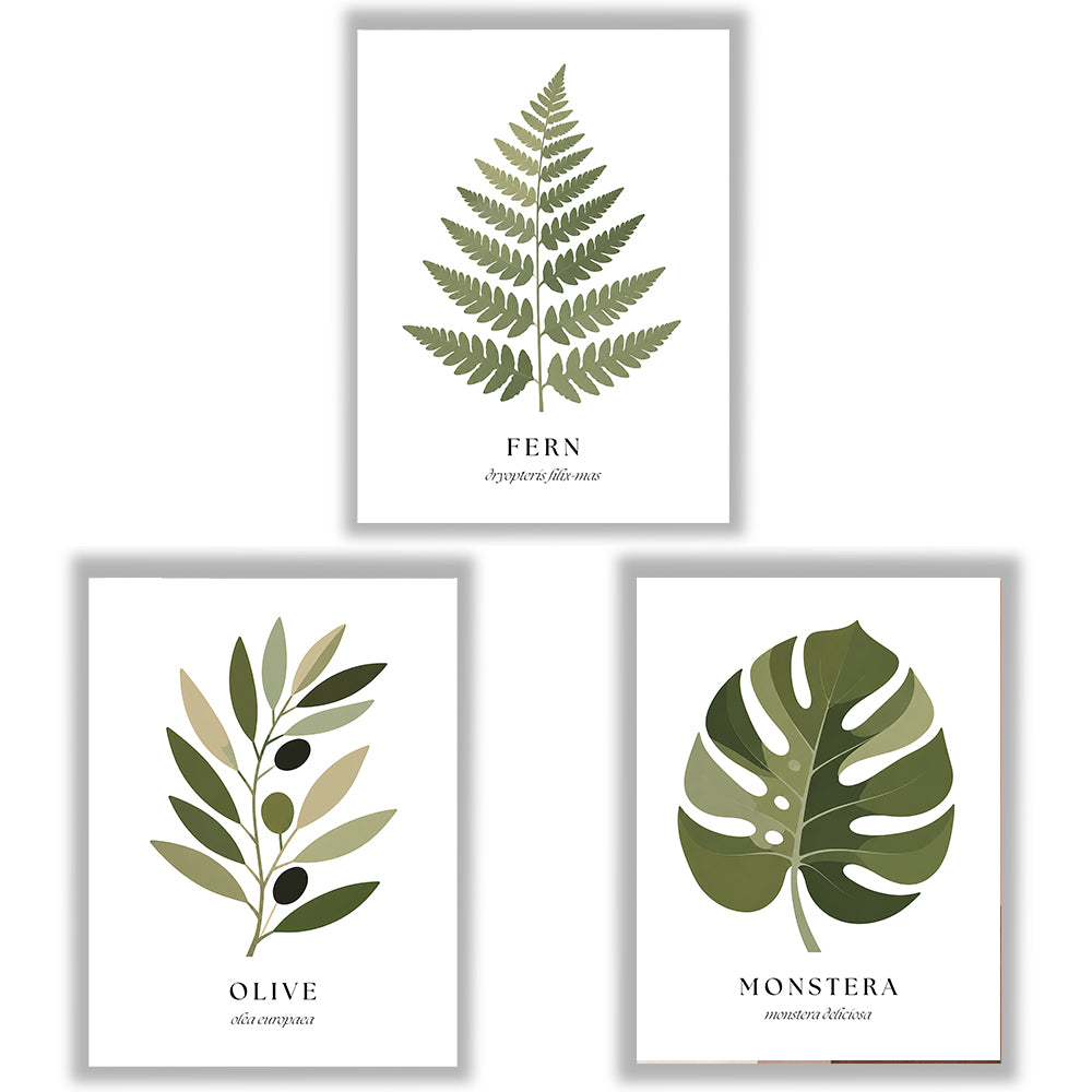 Botanical Studies | Set of 3 Botanical Leaf Prints