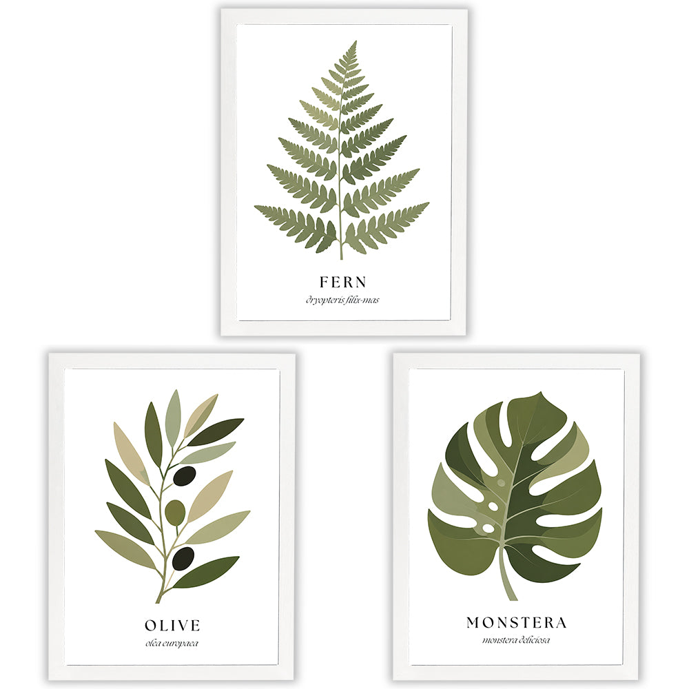 Botanical Studies | Set of 3 Botanical Leaf Prints