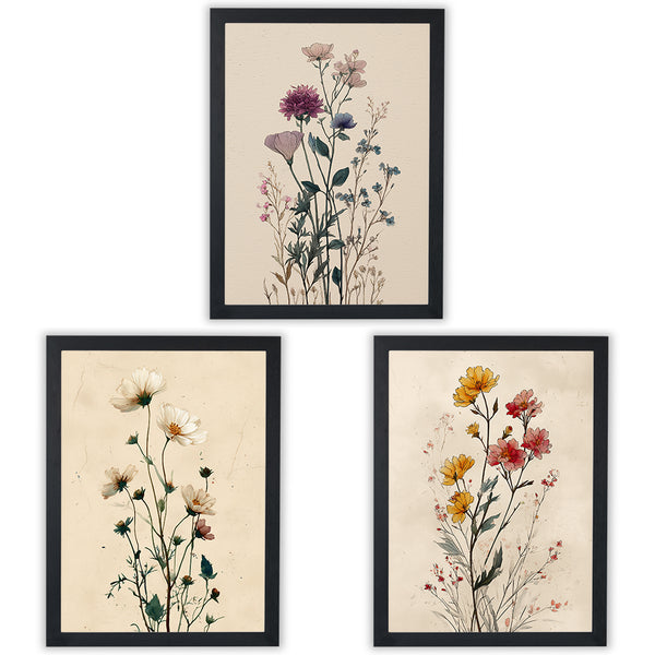 Wildflower Study set of 3 prints, vintage-style wildflower illustrations on warm cream, black frame