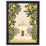 Mediterranean Days - Lemon Grove