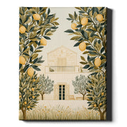 Mediterranean Days - Lemon Grove
