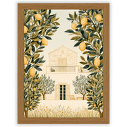 Mediterranean Days - Lemon Grove