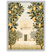Mediterranean Days - Lemon Grove