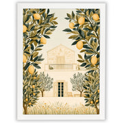 Mediterranean Days - Lemon Grove