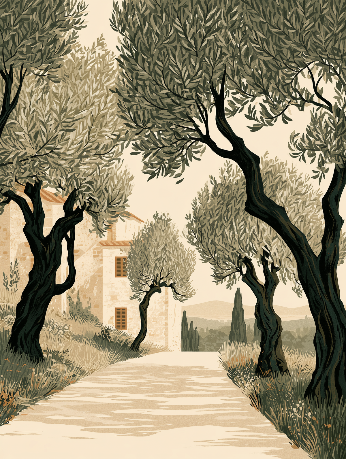 Tuscan Days - Olive Grove