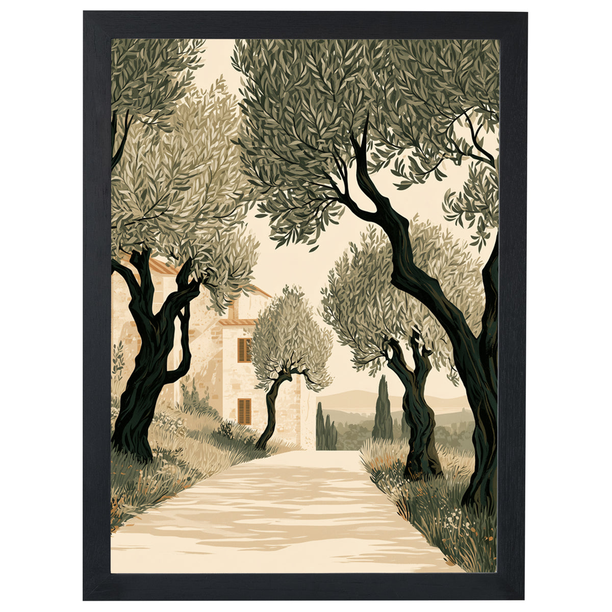 Tuscan Days - Olive Grove