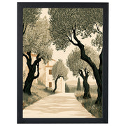 Tuscan Days - Olive Grove
