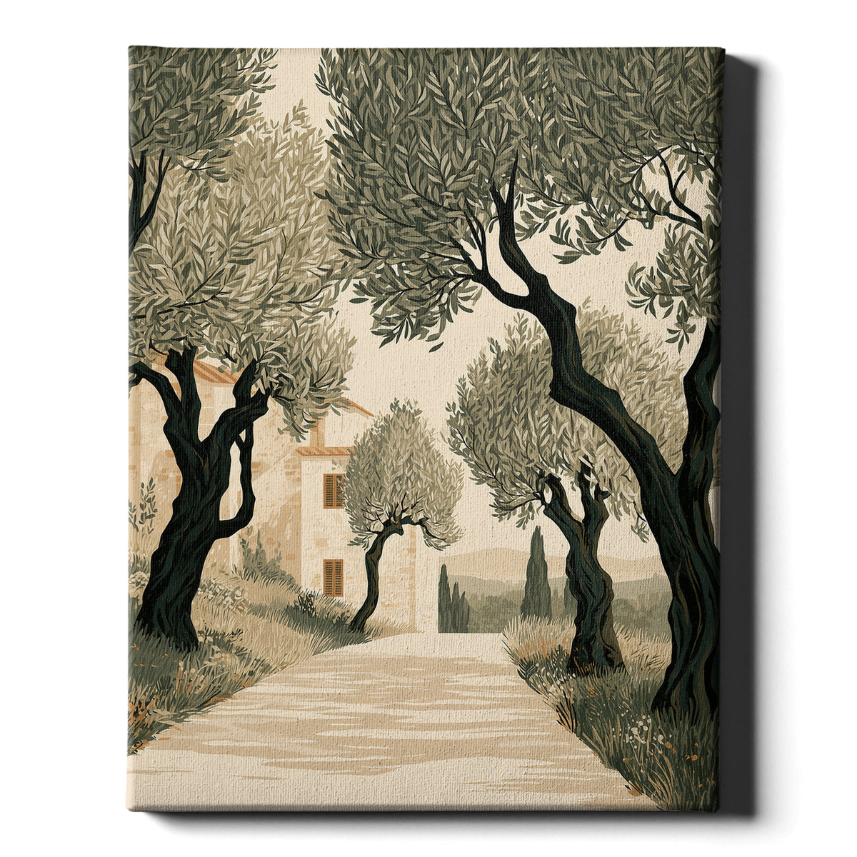 Tuscan Days - Olive Grove