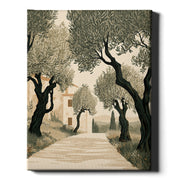 Tuscan Days - Olive Grove