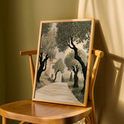 Tuscan Days - Olive Grove