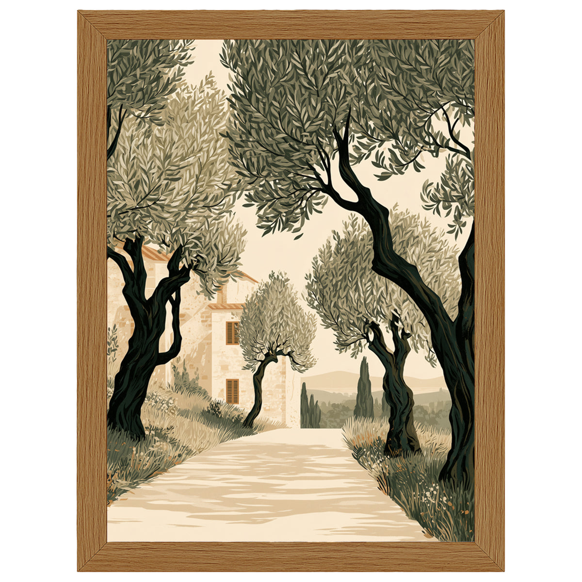 Tuscan Days - Olive Grove