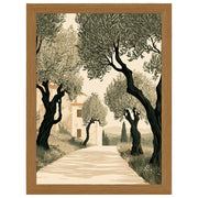 Tuscan Days - Olive Grove