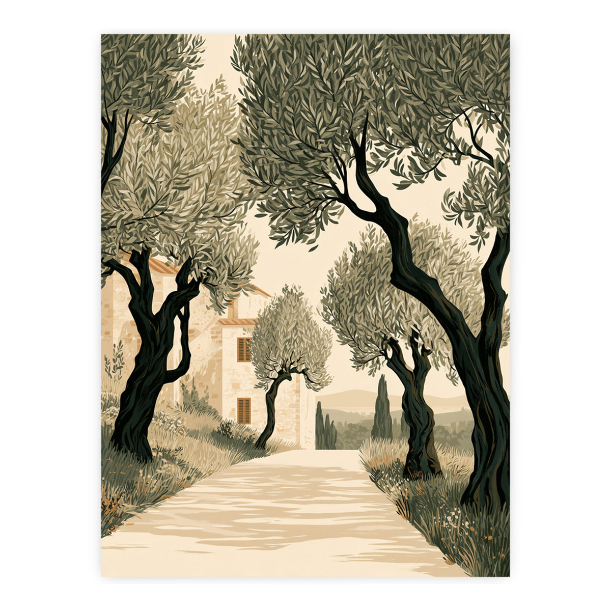 Tuscan Days - Olive Grove
