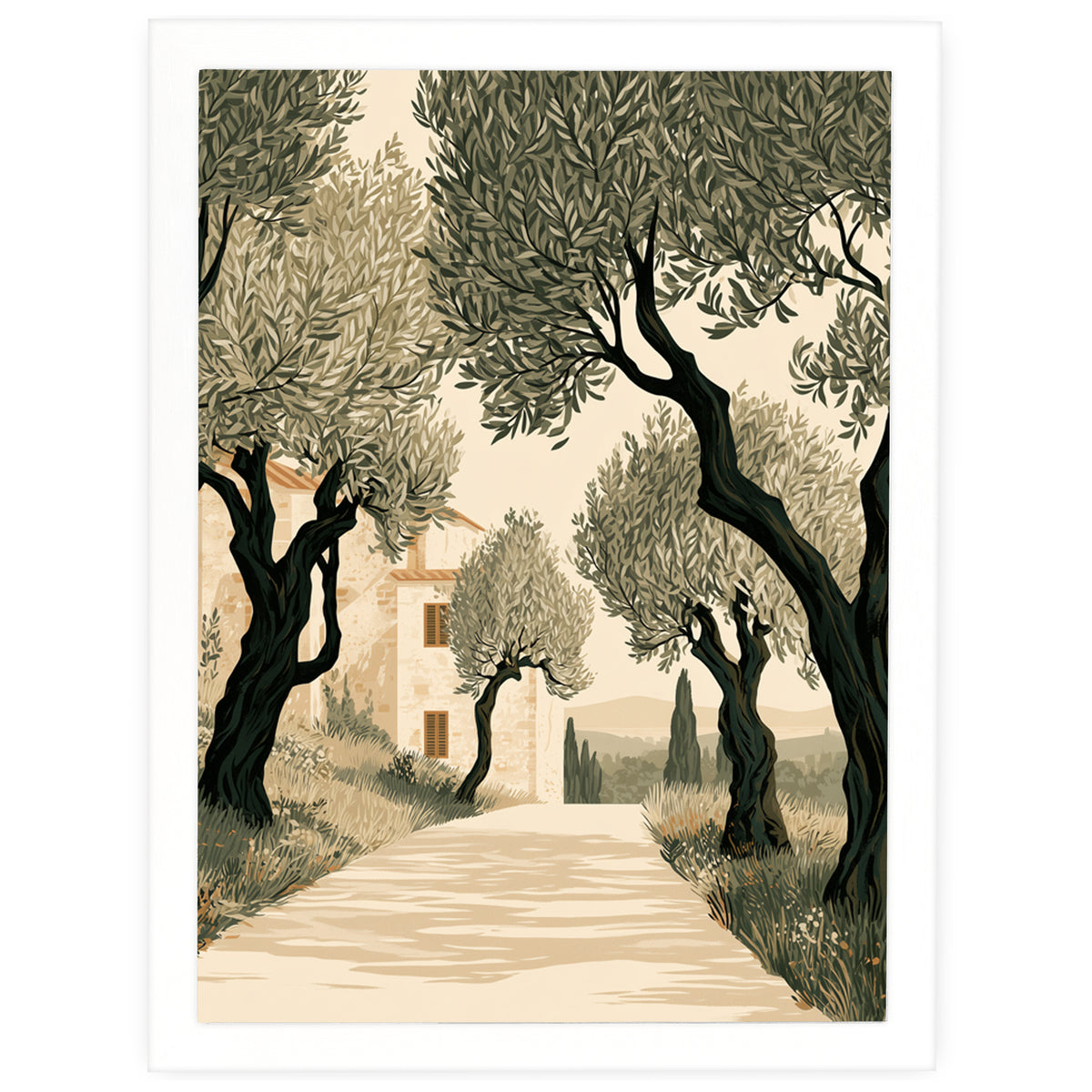 Tuscan Days - Olive Grove