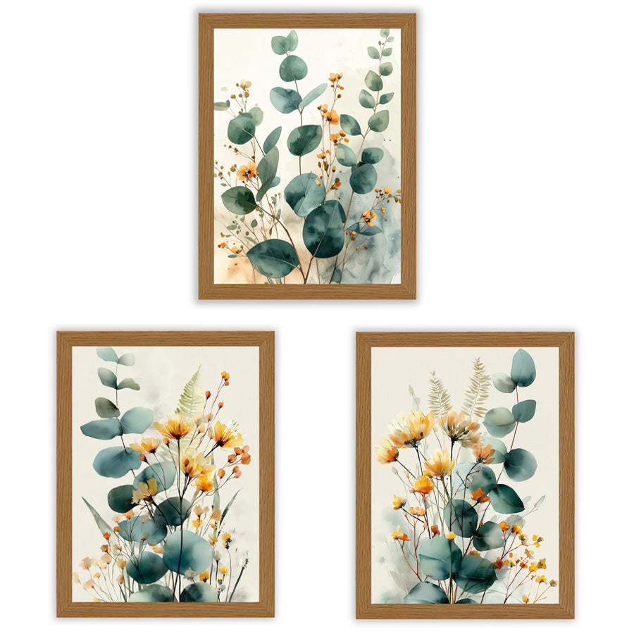 Three framed botanical art prints with watercolor-style eucalyptus leaves and small yellow-orange flowers, arranged on a white background.
