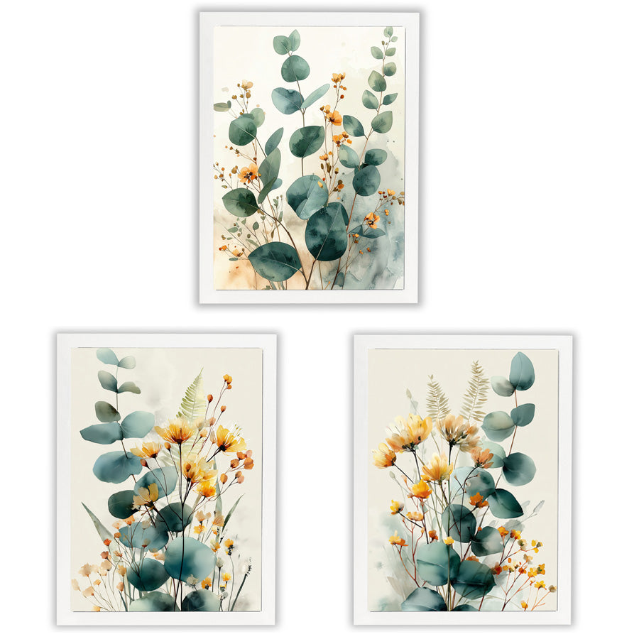 Three framed botanical art prints featuring watercolor-style eucalyptus leaves and small yellow-orange flowers, arranged on a white background.
