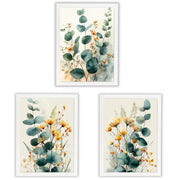 Three framed botanical art prints featuring watercolor-style eucalyptus leaves and small yellow-orange flowers, arranged on a white background.