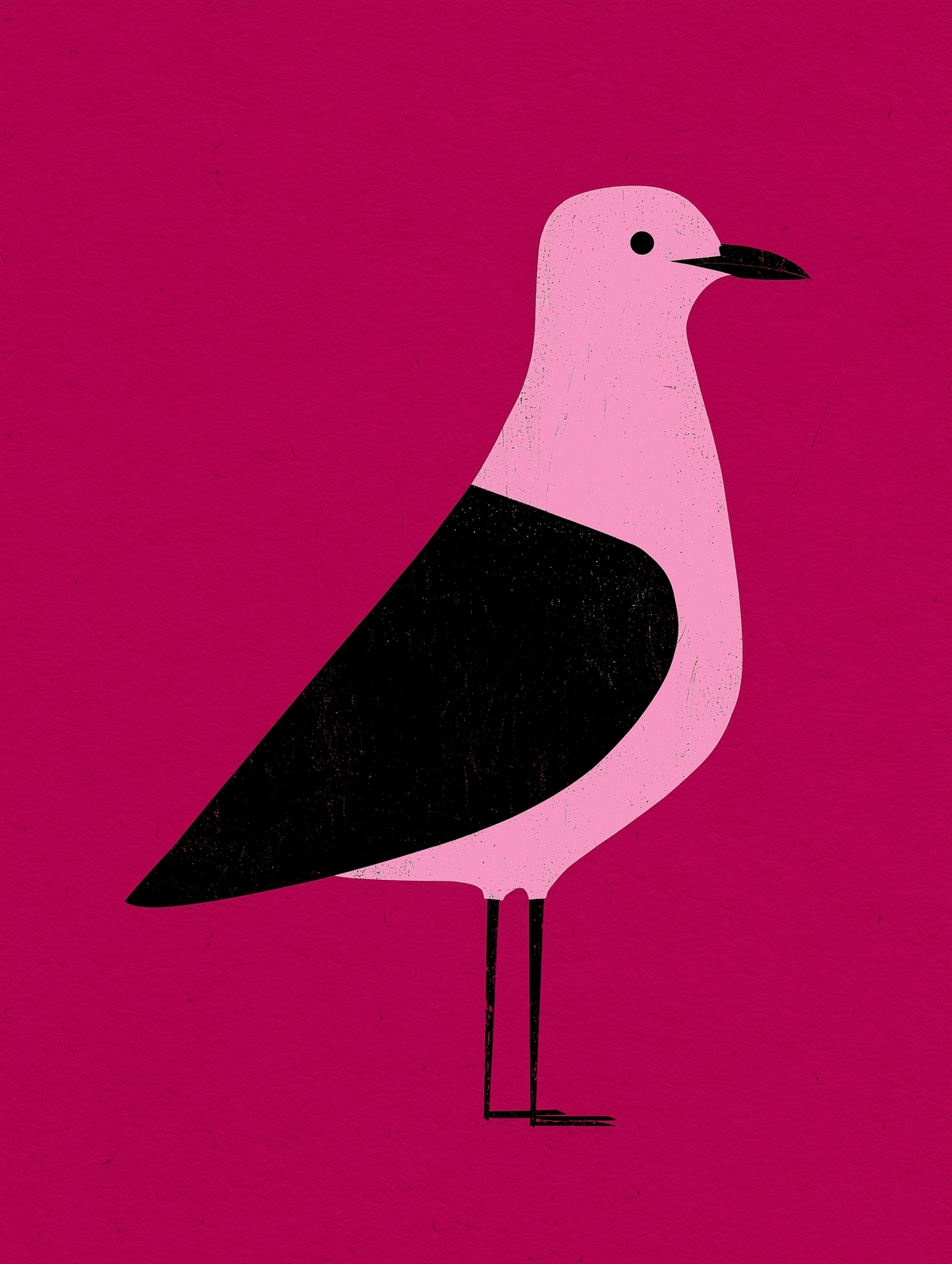 Chip Thief - The Gull