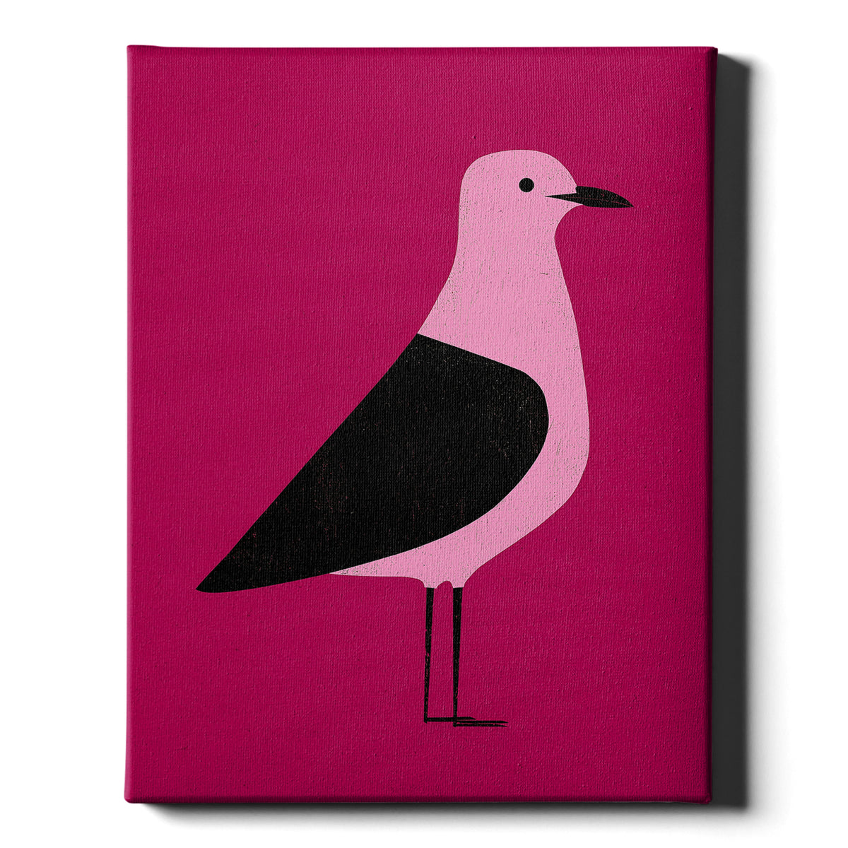 Chip Thief - The Gull