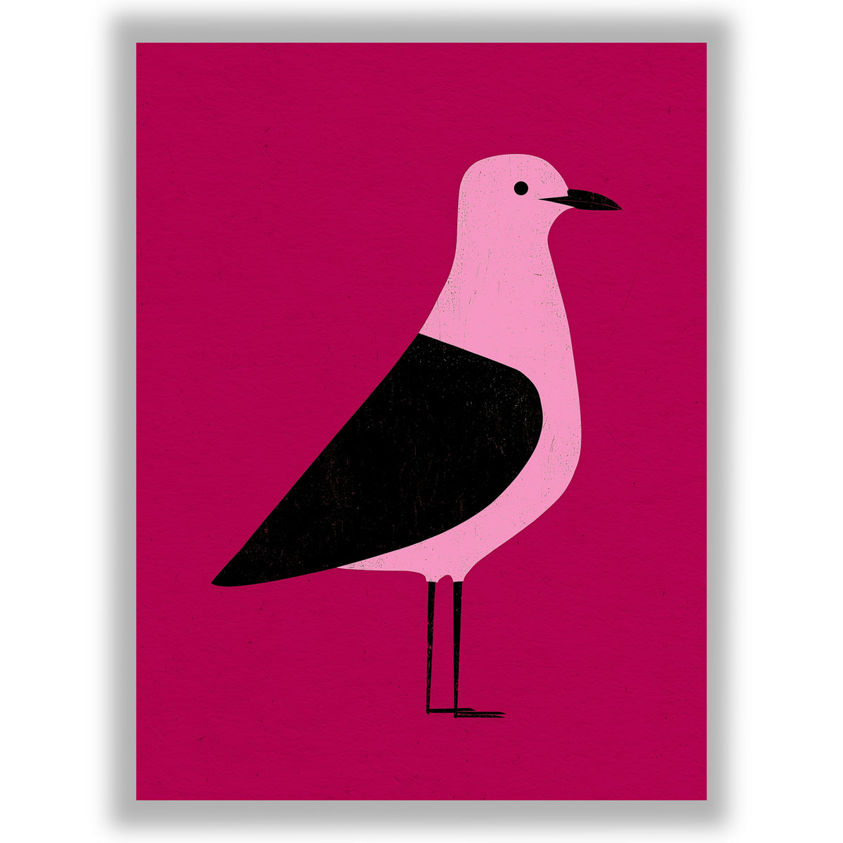 Chip Thief - The Gull
