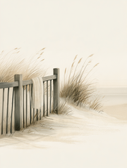 Coastal Stillness - The Last Swim