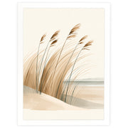 Coastal Stillness - Sea Breeze