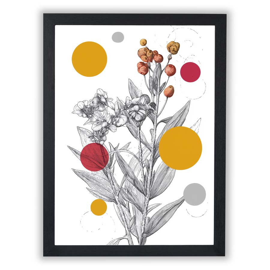 Illustrated Forms – Golden Study - Small - Unframed