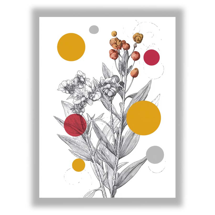 Small - White Frame