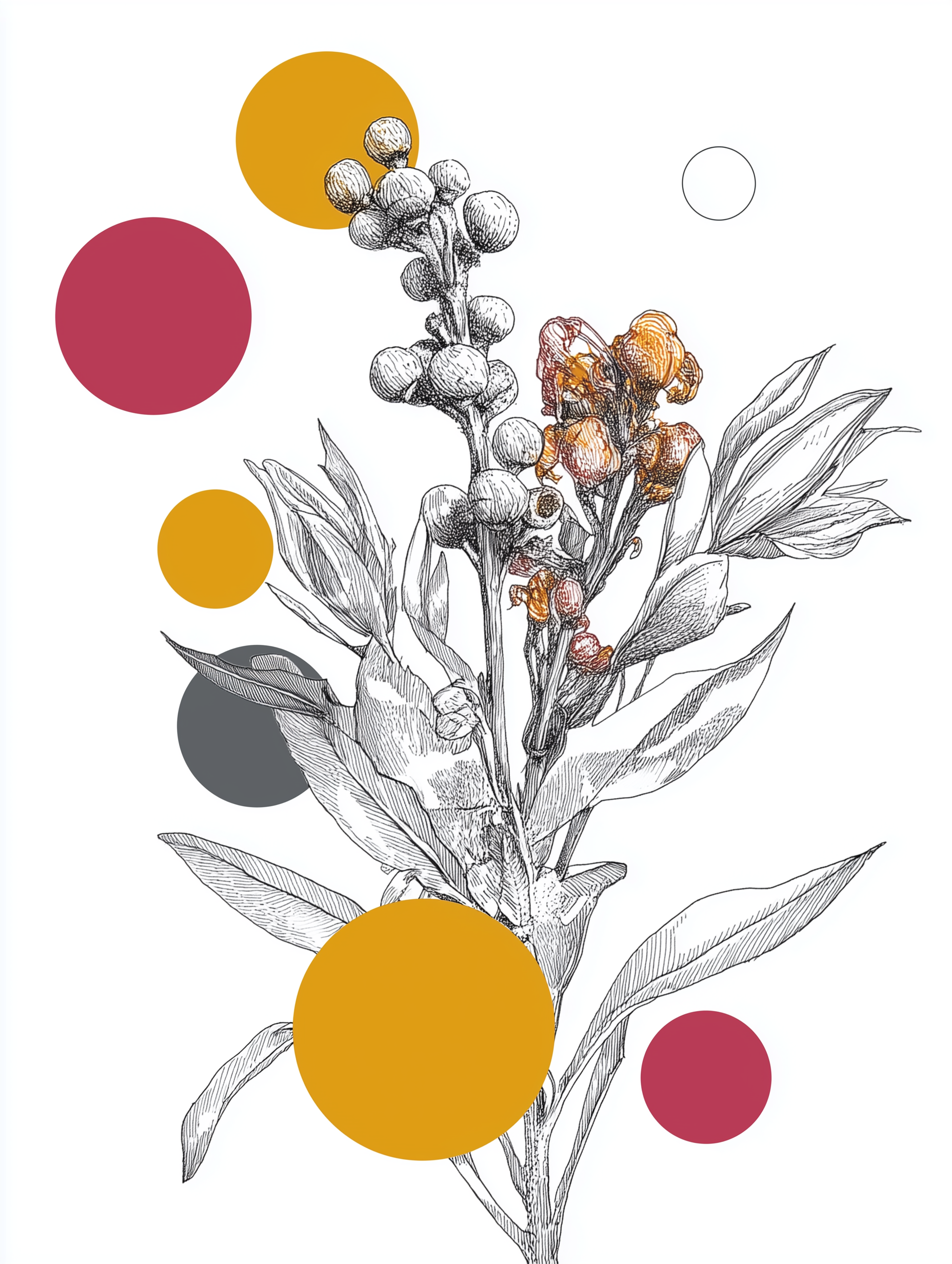 Medium - Unframed