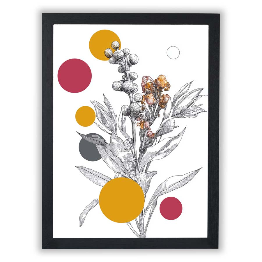 Illustrated Forms – Scarlet Study - Small - Unframed