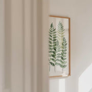 Soft Botanicals – Forest Ferns