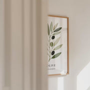 Botanical Studies – Olive